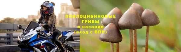 винт Алексин