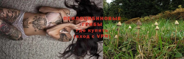 винт Алексин