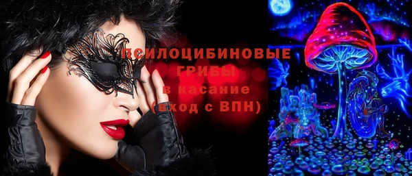винт Алексин