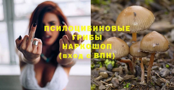 твердый Алексеевка