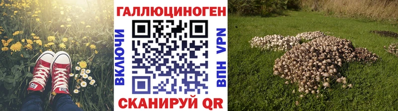 Псилоцибиновые грибы Magic Shrooms  закладка  Кизел 